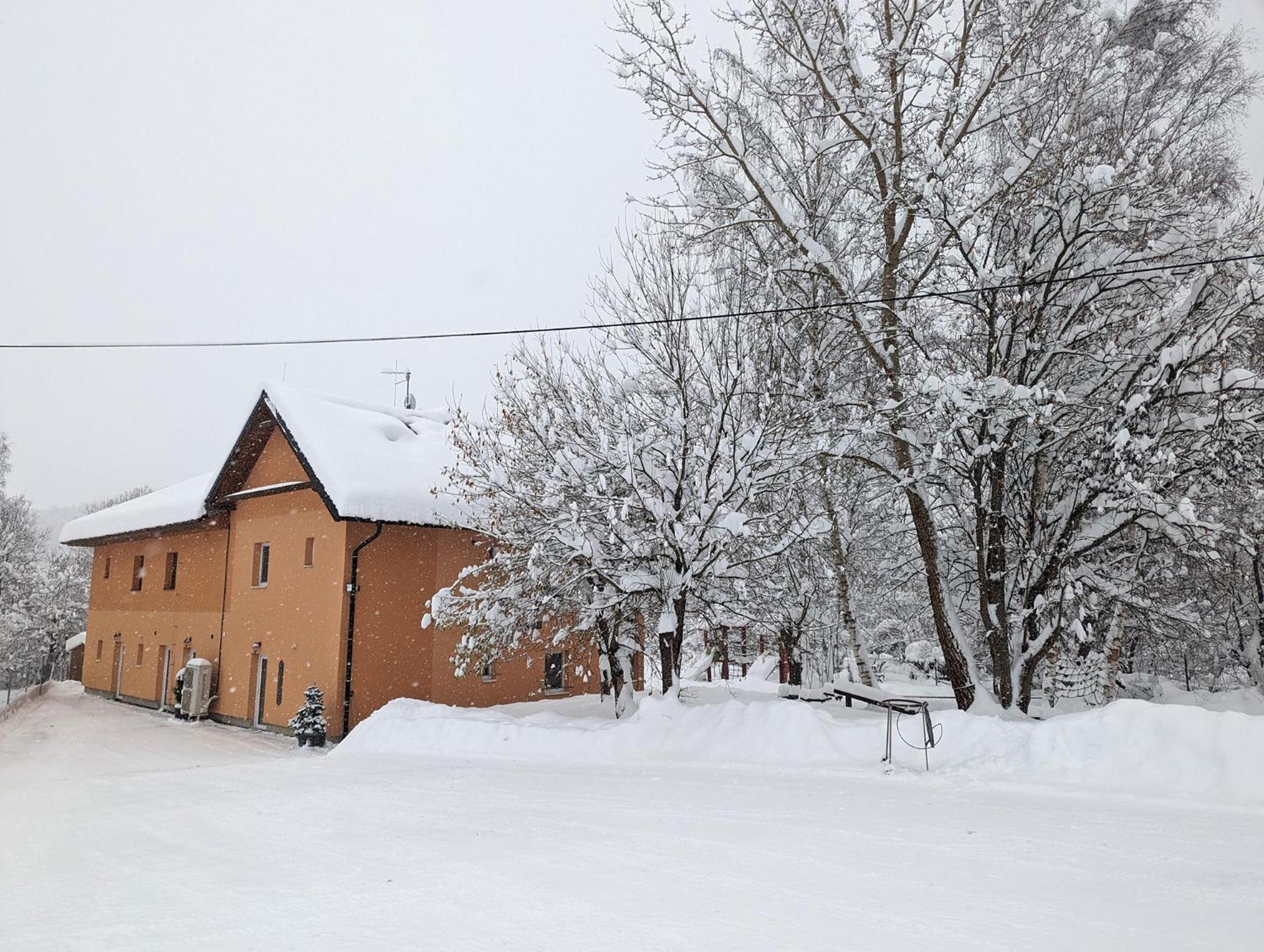 Apartments Nad Rybniky Horní Planá Bagian luar foto
